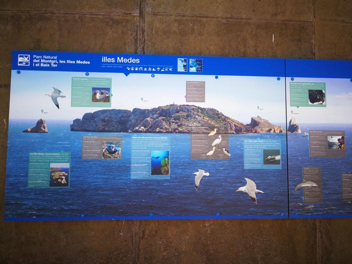 L'Estartit, Estudio En Primera Linea De Mar. Eksteriør billede