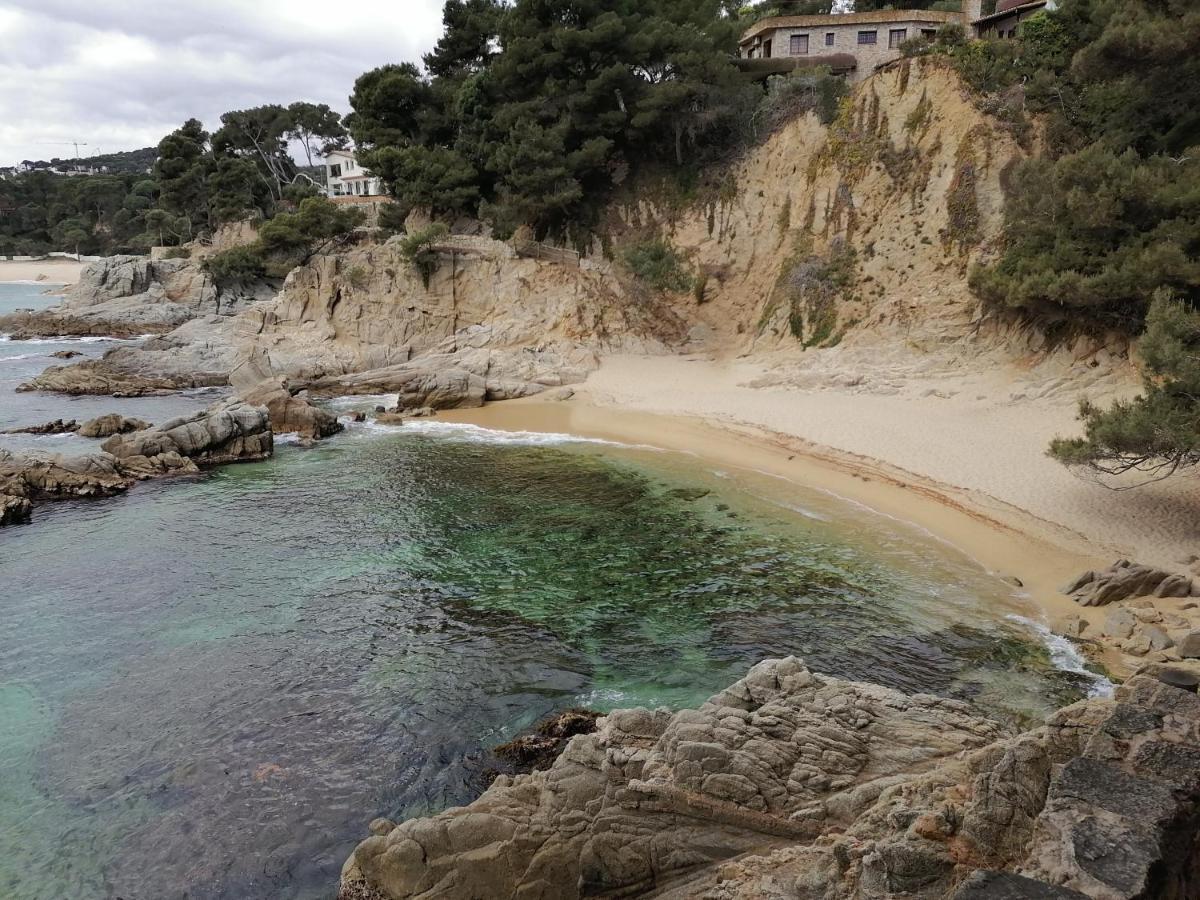 L'Estartit, Estudio En Primera Linea De Mar. Eksteriør billede